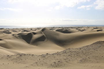 Fototapeta na wymiar Spaziergang durch das Naturreservat der Dünen von Maspalomas. Gran Canaria , Spanien