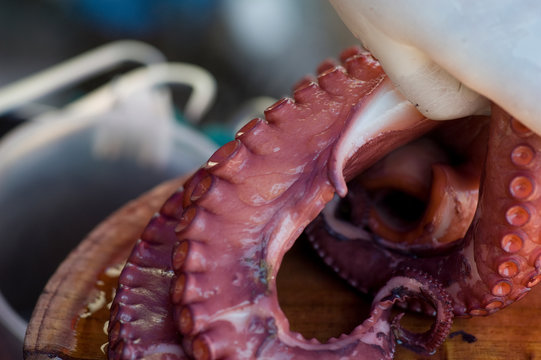 image of a cooked octopus	