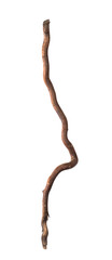 magic staff, old wooden walking stick