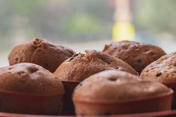 Tasty brown muffins cooked with raisins at home. Homemade baking dessert
