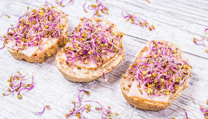 Sandwiches with ham and kale sprouts as an ingredient of a healthy diet.