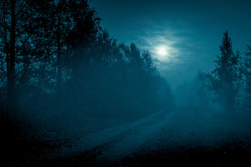 Mysterious landscape in cold tones - silhouettes of the trees along night rural road under the full...