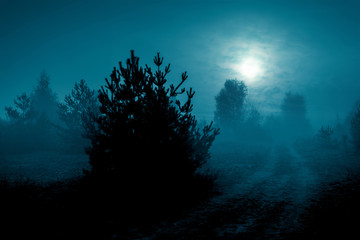 Fototapeta premium Mysterious landscape in cold tones - silhouettes of the trees along night rural road under the full moon through dramatic cloudy sky.