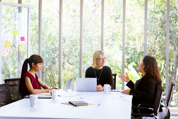 Attractive middle aged diverse business women discussing work tasks in light modern office