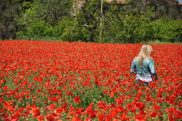 campo tulipani