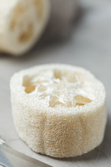 Luffa sponge for zero waste washing or bath