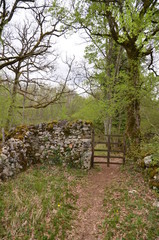 Fototapeta premium CAUSSES DU QUERCY (CLEDE) ET MURET DE PIERRES SÈCHES LOT FRANCE 
