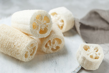 Luffa sponge for zero waste washing or bath