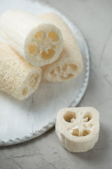 Fototapeta na wymiar Luffa sponge for zero waste washing or bath