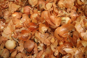 background of mushrooms