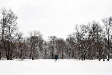 Fototapeta na wymiar Cross Country Skiing in Forest in Southern Wisconsin 