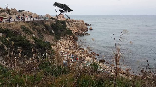 Daewangam Park is a park on the coast of Ulsan, southeast of Korea There are many forests and flowers here. Many citizens take a walk. The region is home to Hyundai Motor Co., 