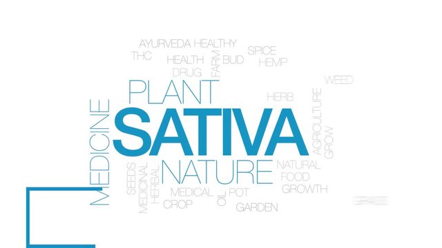 Sativa animated word cloud. Kinetic typography.