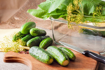 Fresh cucumbers on wooden board prepared for pickling