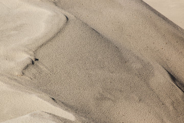 Sand Dune outdoors by the ocean
