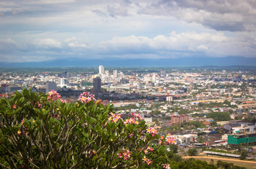 Trees on the backdrop of the big cities of Thailand.