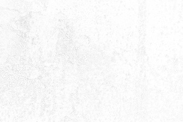 Backdrop of white cement wall surface.