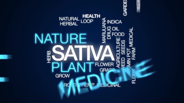 Sativa animated word cloud. Kinetic typography.