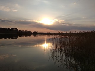 Obraz premium Nature