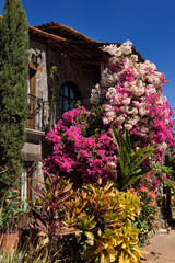 Hacienda with flowers at Tequila factory in San Sebastian del Oeste Mexico