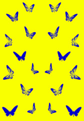 Fototapeta premium Blue color stylized butterflies silhouettes pattern on yellow background.
