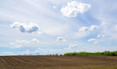 Field with irrigation system