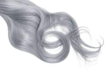 Disheveled gray hair isolated on white background. Long wavy ponytail