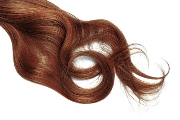 Disheveled henna hair isolated on white background. Long wavy ponytail