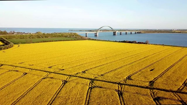 Fehmarn Bridge and Rapeseed Field Aerial View