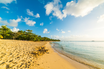 Fototapeta na wymiar Le Souffleur beach in Guadeloupe
