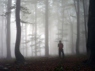 Human silhouette backpacker uprising between trees in a forest covered with thick fog