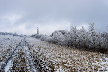 Obraz na płótnie Canvas Track going through a snowy field.
