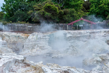 Steam Rising from Hot Geothermal Pool