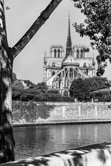 Notre Dame de Paris Cathedral on the Cite Island. Paris, France - 267655624
