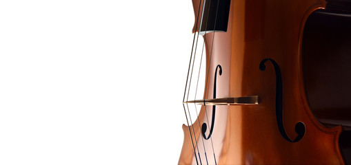 Cello strings closeup on while background