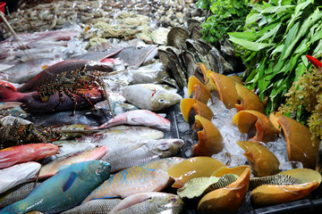giant clam at the night market - Kota Kinabalu Sabah Borneo Malaysia Asia