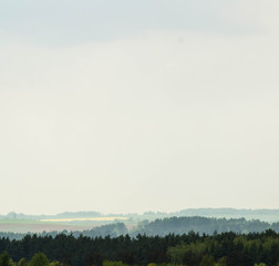 farther forest background