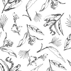 Seamless herb pattern