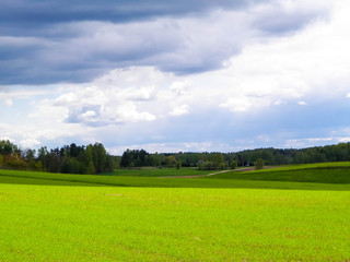 Green fields in Kashubia region - Northern Poland.
