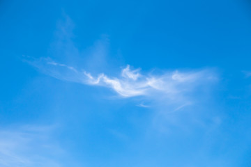 Cloudscape. Blue sky background with white clear  clouds. One small translucent pinnate cloud of interesting shape. In the center of the image.