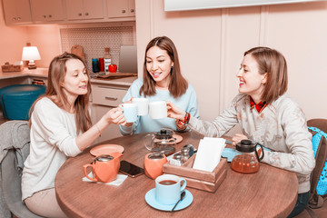Girl friends chatting and drinking tea in home interior. Communication and relations concept