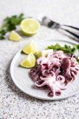 Baby octopus in a gray plate with lime and herbs on gray background. Selective focus