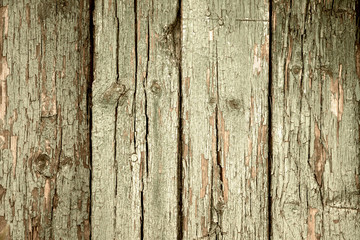 Background, texture of an old, wooden fence with faded peeling paint.