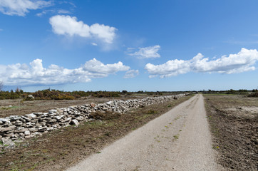 Dirt road in the great plain grassland Alvaret at the swedish island Oland