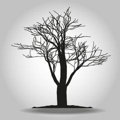 Tree icon. Forest symbol. Flat web sign on white background. Vector eps 10