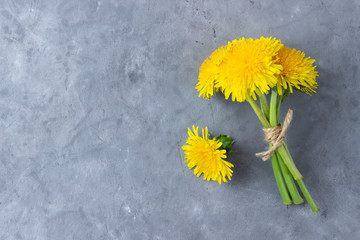 Bouquet of summer dandelion flowers on gray background. Top view with copy space.