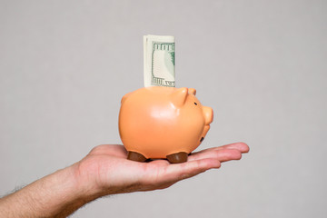 Male hand putting dollar bills into a pink piggy bank. Man hand is putting money into piggy bank