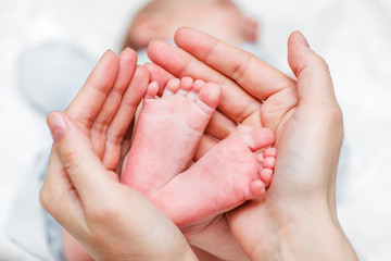 Obraz na płótnie Canvas Baby legs. Newborn baby feet in mother's hands. Baby feet cupped into mothers hands