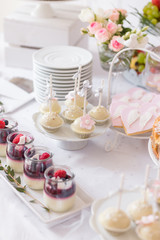 Sweet table at wedding reception or birthday party. Selection of cake pops, cookies and mini panna...