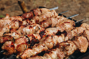 Closeup of some meat skewers being grilled in a barbecue